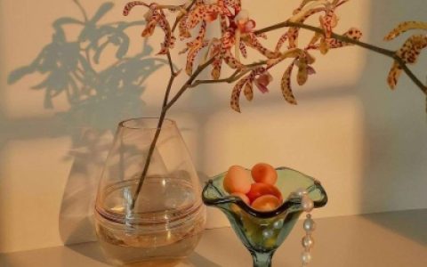 女人最旺财的微信头像2021 能够带来好运风景的头像大全2021