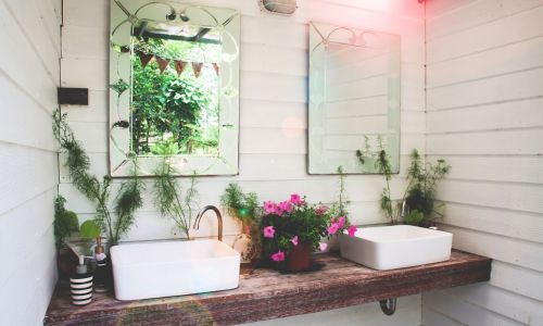 学生房间里适合放哪些盆栽