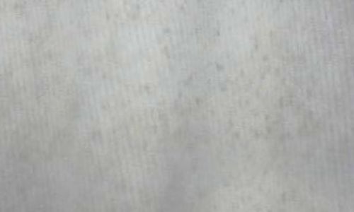 衣物发霉淘米水清洗方法 衣物发霉淘米水清洗方法