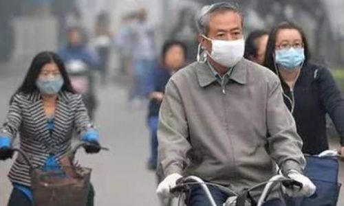 头戴尖角帽身穿黄皮袄打一动物是黄牛吗 头戴尖角帽身穿黄皮袄打一动物是黄牛吗