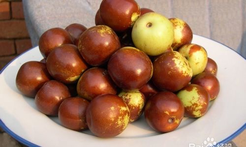 冬枣可以放多长时间 冬枣可以放多长时间