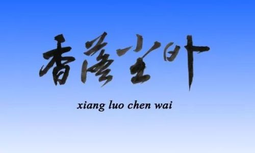 歪可以组什么词 歪可以组什么词
