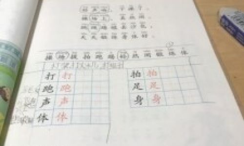 内的组词有哪些 内的组词有哪些