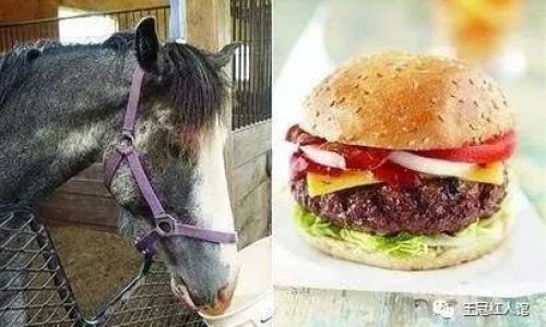 悬牛头卖马脯的意思和造句有什么 悬牛头卖马脯的意思和造句有什么