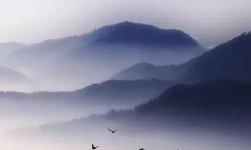 关于琴的优美句子 关于琴的优美句子