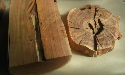 檀栾的意思 檀栾的意思