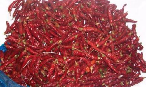 干辣椒怎么保存 干辣椒怎么保存