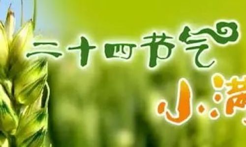 为草当作兰为木当作松什么意思 为草当作兰为木当作松什么意思