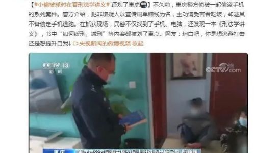 扒手的意思 扒手的意思