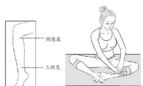 犊是什么意思 犊是什么意思