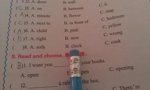 英语cook什么意思 英语cook什么意思