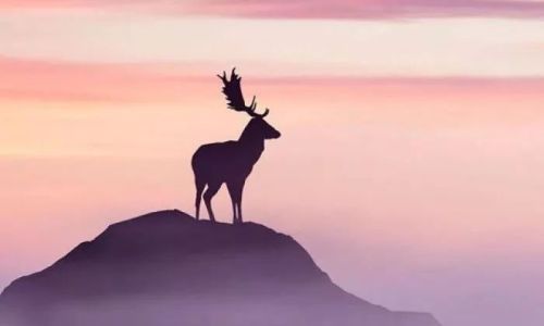 生亦何欢死亦何惧是什么意思 生亦何欢死亦何惧是什么意思