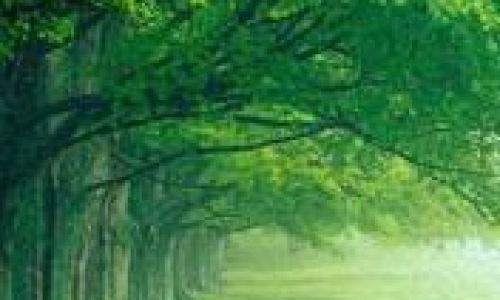 词语林下风范的意思 词语林下风范的意思