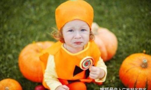 虎年好听的男孩名字 虎年好听的男孩名字