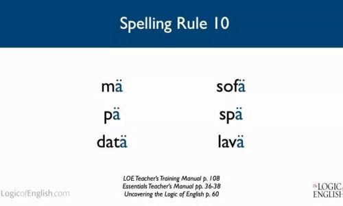 英语courses怎么读 英语courses怎么读