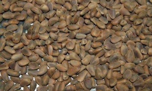 自然铜别名是什么 自然铜别名是什么