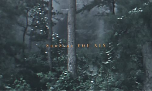 活在这珍贵的世间太阳强烈水波温柔什么意思 活在这珍贵的世间太阳强烈水波温柔什么意思