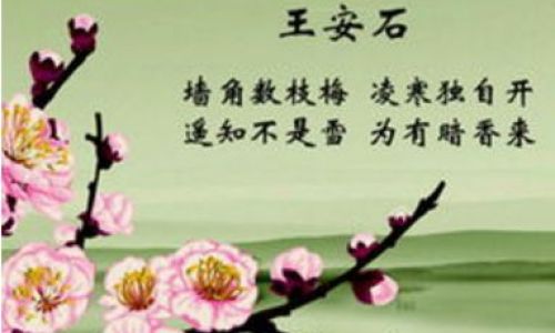 古代十首观梅的诗词精选 古代十首观梅的诗词精选