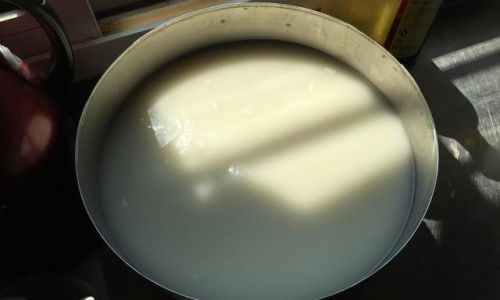 自制凉皮洗面水要沉淀一小时可以嘛 自制凉皮洗面水要沉淀一小时可以嘛