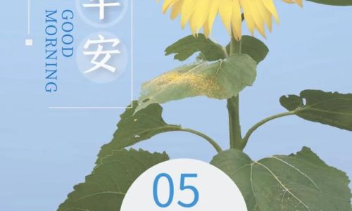 朋友圈正能量说说阳光 朋友圈正能量说说阳光