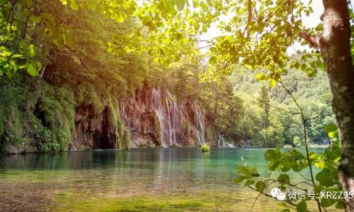 项庄之剑志在沛公的意思 项庄之剑志在沛公的意思