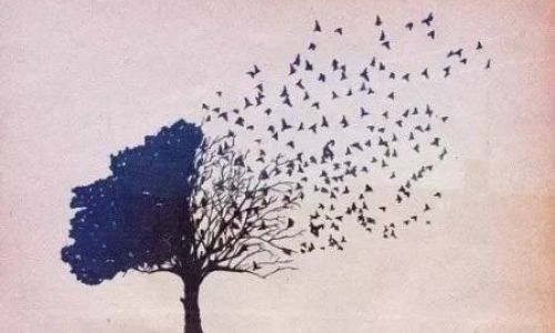 念心指的是什么 念心指的是什么