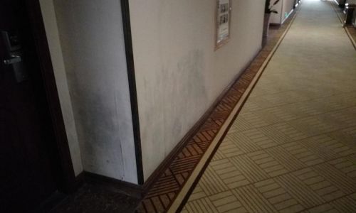 壁纸里面发霉怎么处理 壁纸里面发霉怎么处理