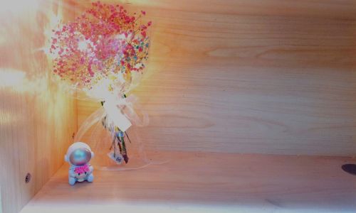 春天优美的句子摘抄 春天优美的句子摘抄