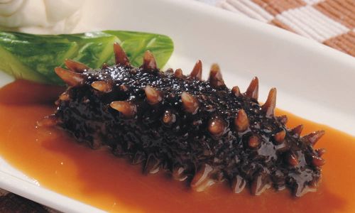 活海参怎么处理不损失营养 活海参怎么处理不损失营养