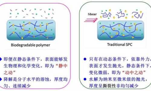 流水不腐户枢不蠹意思是什么 流水不腐户枢不蠹意思是什么