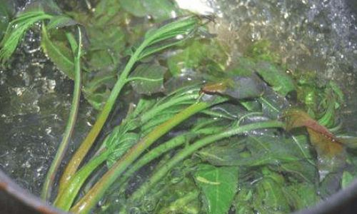 香椿要过水吗 香椿要过水吗