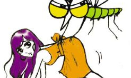 蚊子英语解释 蚊子英语解释