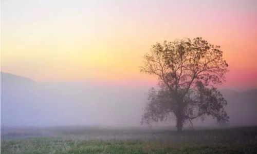 雾可以对什么 雾可以对什么