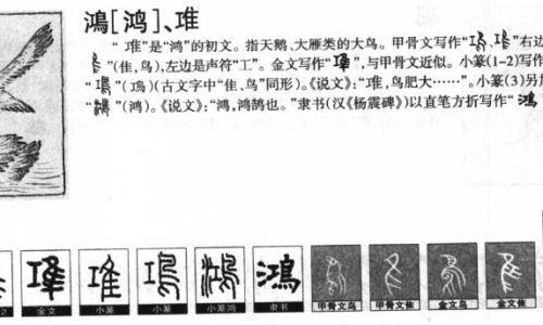 汉字蚌组词 汉字蚌组词