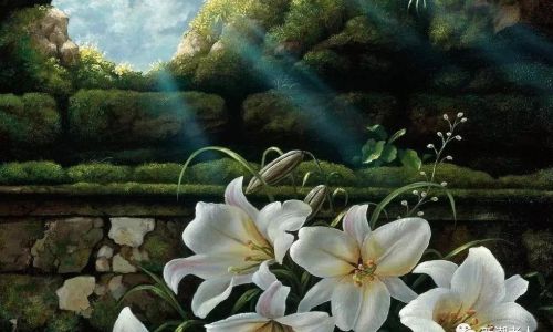 描写百合花的作文 描写百合花的作文