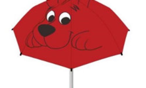 雨伞英语读音 雨伞英语读音