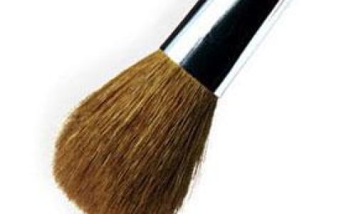 化妆刷要每天清洗吗 化妆刷要每天清洗吗