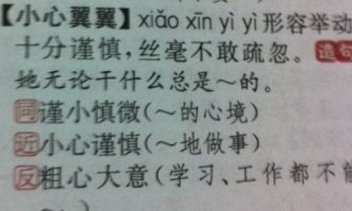 词语进可替不的意思 词语进可替不的意思