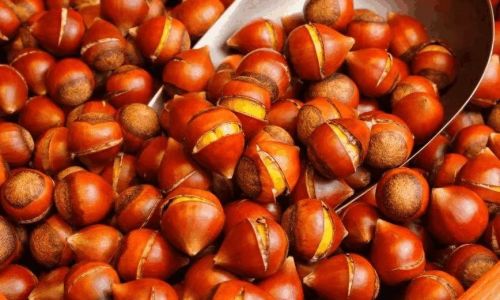 板栗怎么才能好剥皮 板栗怎么才能好剥皮