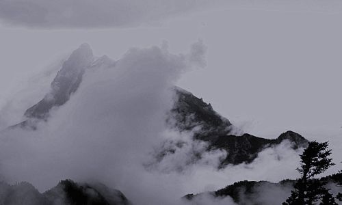 北风吹雁雪纷纷 北风吹雁雪纷纷