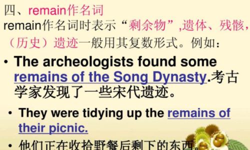 remain用法 remain用法