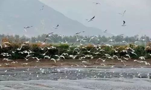 茫茫荡荡的意思