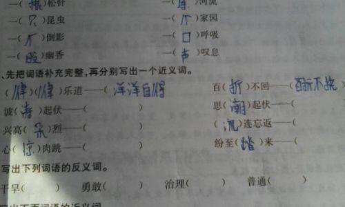 仿照的近义词 仿照的近义词