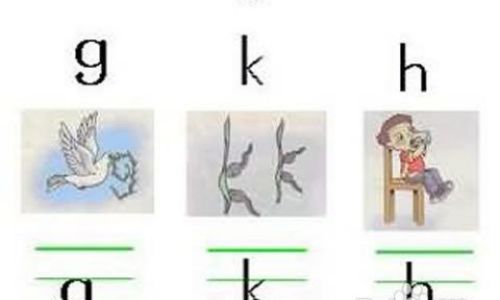 玫瑰拼音怎么拼音 玫瑰拼音怎么拼音