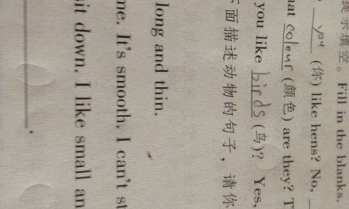 名字英语怎么写 名字英语怎么写