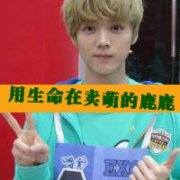 带字的exo鹿晗头像 LU HAN 帅气原宿风