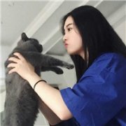 萌系猫咪与美女头像